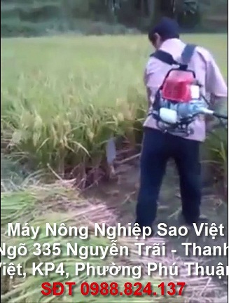 Máy cắt lúa cần cong Kawarzhima   
