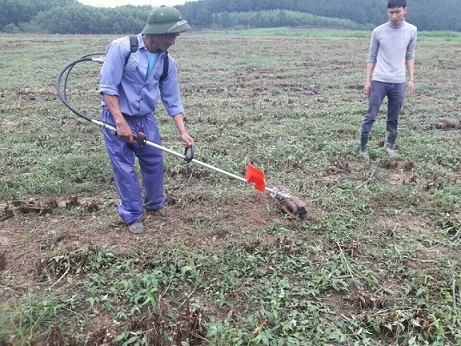 Máy xới đất, xạc cỏ cầm tay đeo vai Honda GX35 (tặng 10 món phụ kiện) 