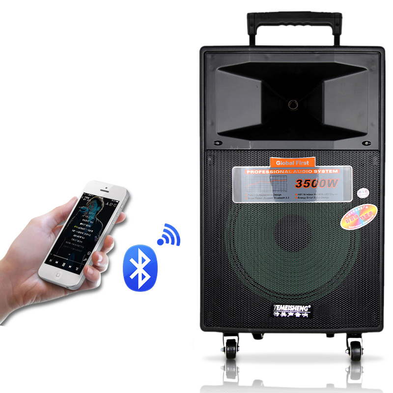 Loa Kéo Temeisheng SL1204 