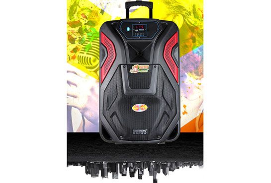 Loa Kéo Temeisheng SL1503 