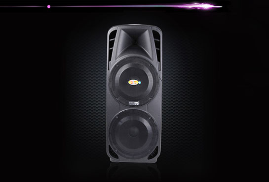Loa kéo 2 bass đôi Temeisheng A86 
