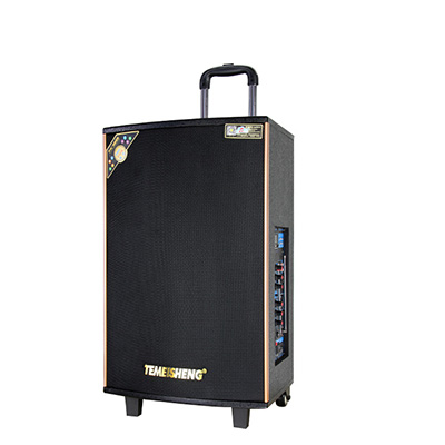 Loa kéo Temeisheng QX1202 