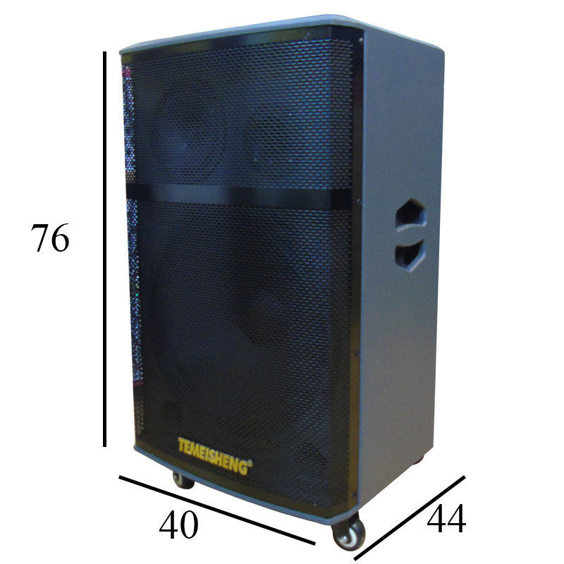 Loa kéo di động Temeisheng A172 