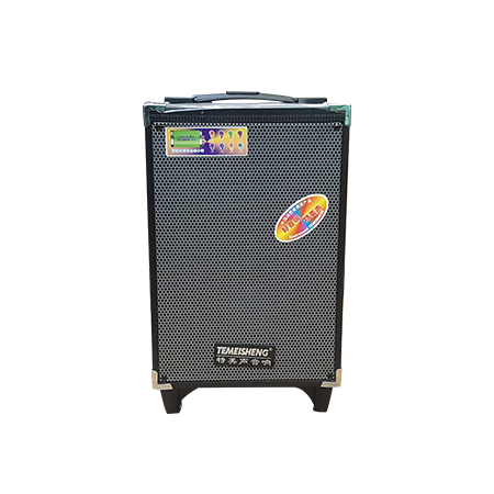 Loa kéo di động Temeisheng A8-2T 