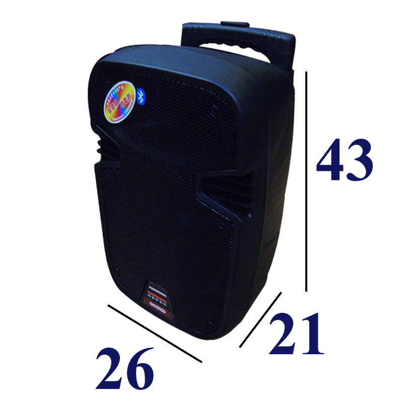 Loa kéo di động Temeisheng A8-8 