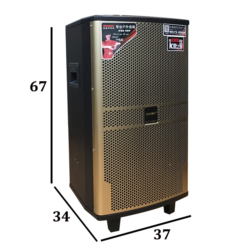 Loa kéo di động Temeisheng QX-1220 