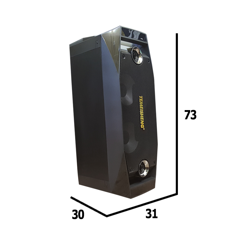 Loa kéo di động mini 2 bass Temeisheng TMS-802 