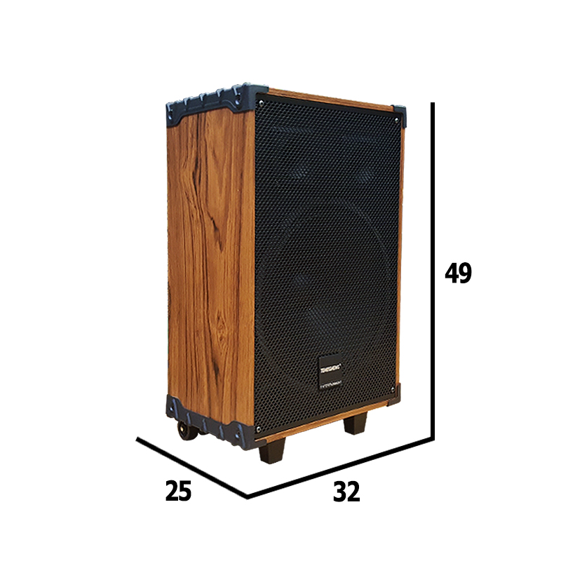 Loa kéo di động mini Temeisheng A10-42 