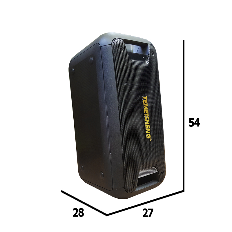 Loa kéo di động mini Temeisheng TMS-502 
