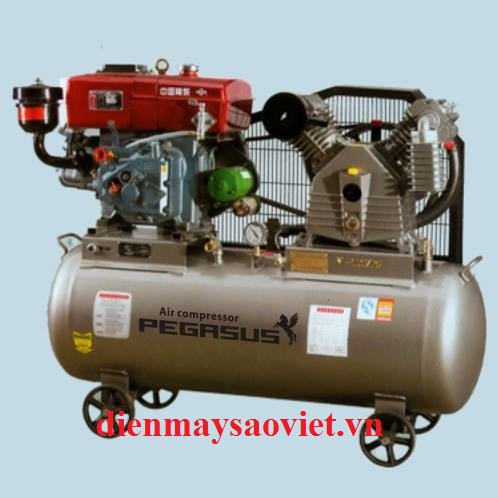 Máy nén khí chạy bằng dầu Diesel Pegasus TM-W-1.0/8-500L 