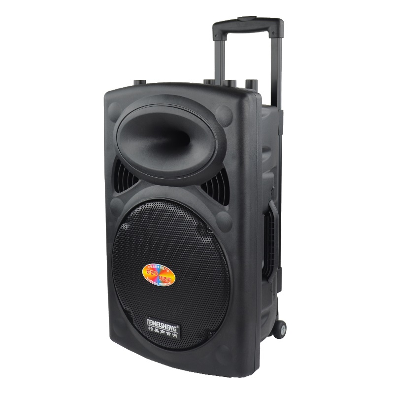 Máy trợ giảng Temeisheng DP-2305F 